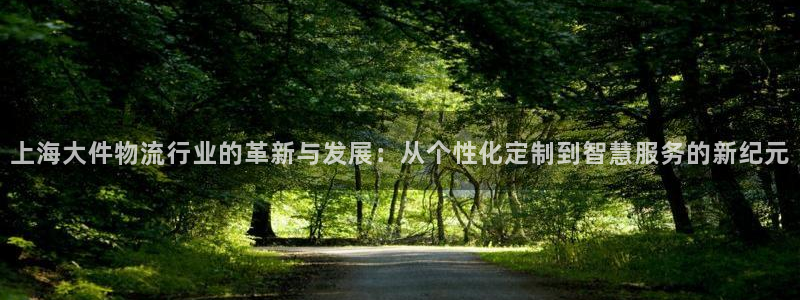 ,优游国际怎么下载教程：上海大件物流