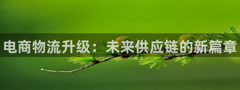 ,优游国际赌博软件正规吗：电商物流升