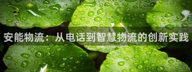 ,优游国际注册官网：安能物流：从电话
