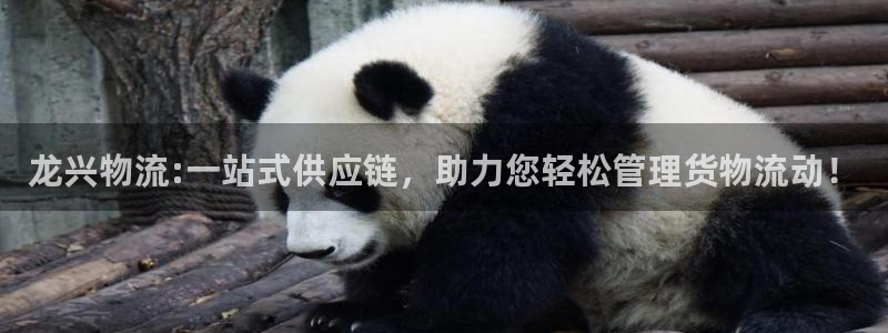 ,优游国际免费：龙兴物流:一站式供应
