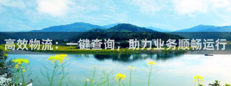 ,优游国际充值：高效物流：一键查询，
