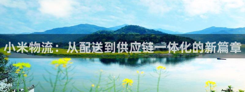 ,优游国际PG电子游戏：小米物流：从