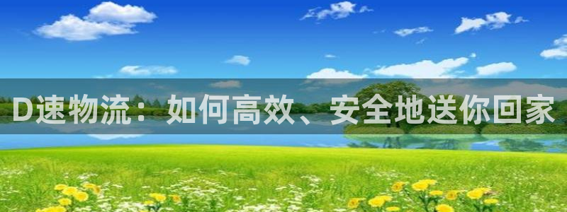 ,优游国际选28ng官网：D速物流：