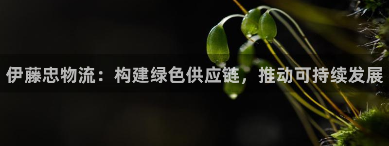 ,优游国际圈：伊藤忠物流：构建绿色供