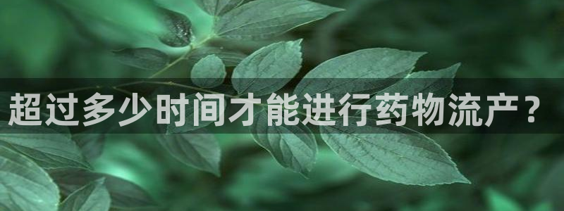 优游国际官网入口pc28