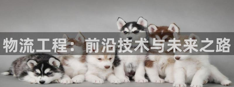,优游国际下载链接是多少：物流工程：