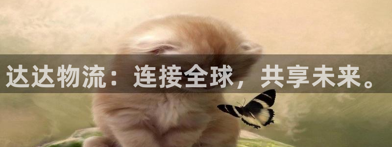 ,优游国际注册步骤:达达物流:连接全