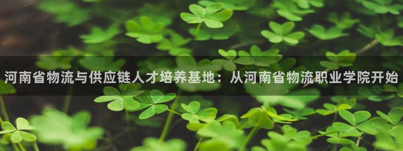 ,优游国际网赌案件：河南省物流与供应链人才培养基地：从河南省