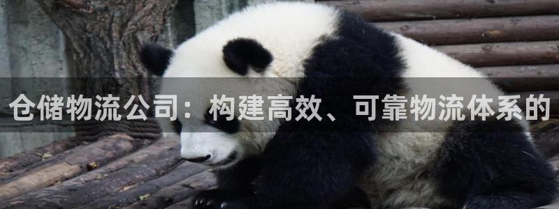 ,优游国际pg麻将胡了:仓储物流公司