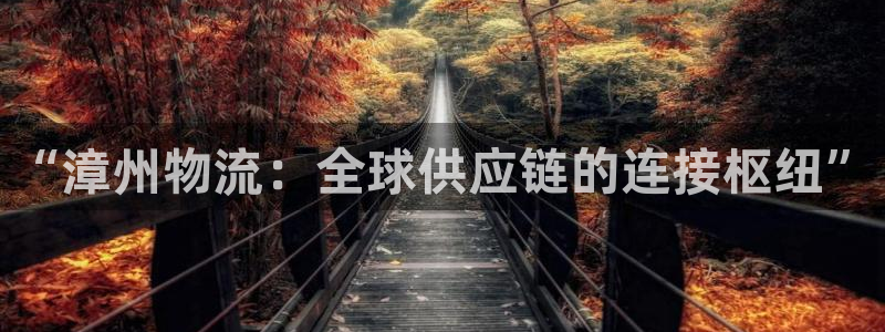 ,优游国际游戏最新版：“漳州物流：全