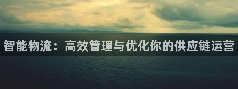 ,优游国际注册地址：智能物流：高效管理与优化你的供应链运营