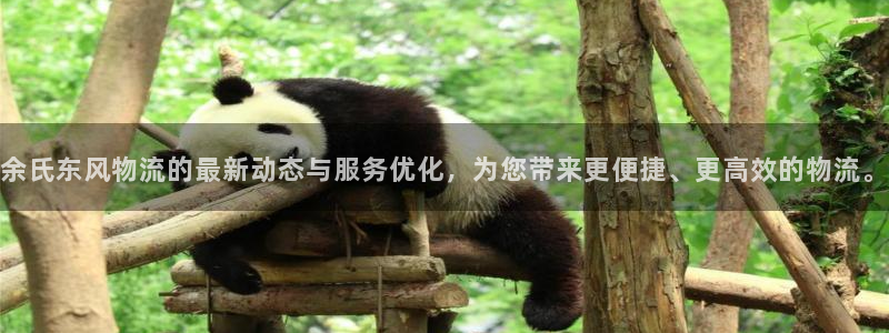 ,优游国际防失联网址:余氏东风物流的