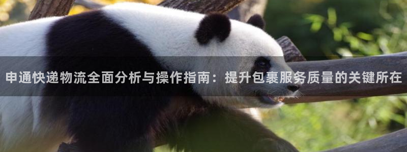 南宫,优游国际官网:申通快递物流全面