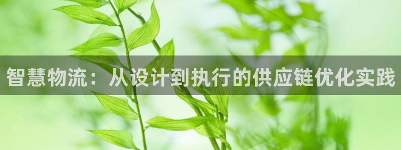 ,优游国际返水怎么算的:智慧物流:从