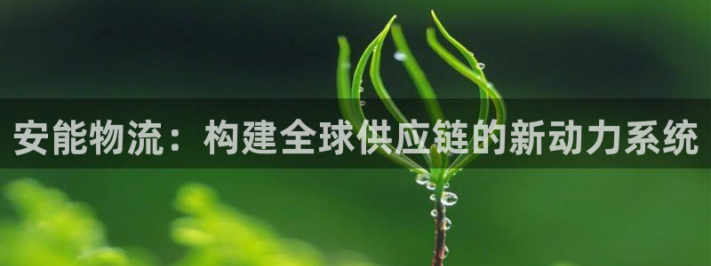 ,优游国际官网网站：安能物流：构建全球供应链的新动力系统