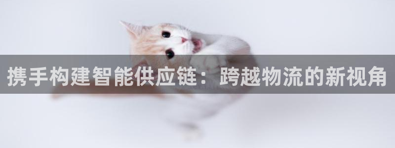 ,优游国际注册链接