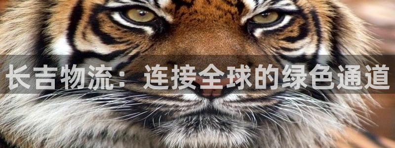 ,优游国际注册号:长吉物流:连接全球