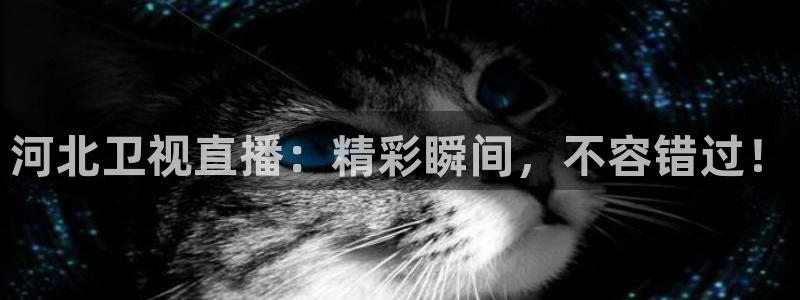 黑白体育足球免费直播：河北卫视直播：精彩瞬间，不容错过！