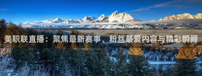 黑白直播nba直播：美职联直播：聚焦最新赛事、粉丝最爱内容与精彩瞬间