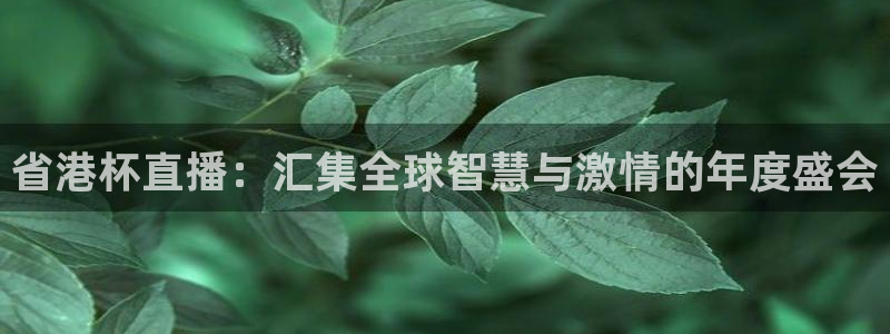 黑白体育直播nba免费观看：省港杯直播：汇集全球智慧与激情的年度盛会