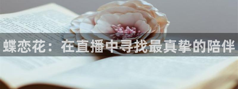 黑白体育直播足球：蝶恋花：在直播中寻找最真挚的陪伴