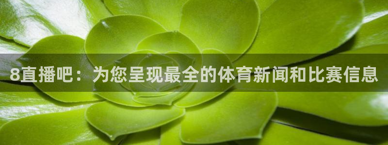 黑白体育 直播：8直播吧：为您呈现最全的体育新闻和比赛信息