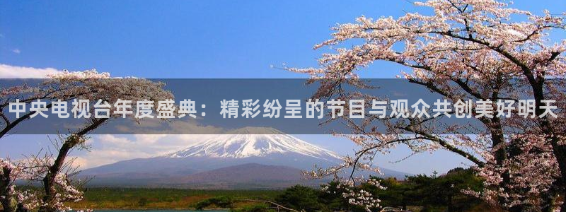 黑白体育在线直播免费观看nba：中央电视台年度盛典：精彩纷呈的节目与观众共创美好明天