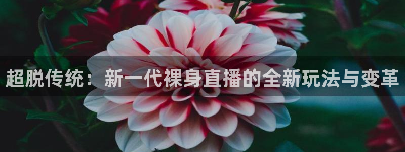 nba黑白直播在线观看高清：超脱传统：新一代裸身直播的全新玩法与变革