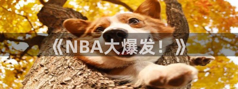 黑白直播体育ufc：《NBA大爆发！》