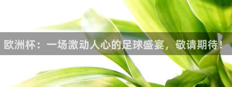 黑白足球直播在线观看免费：欧洲杯：一场激动人心的足球盛宴，敬请期待！