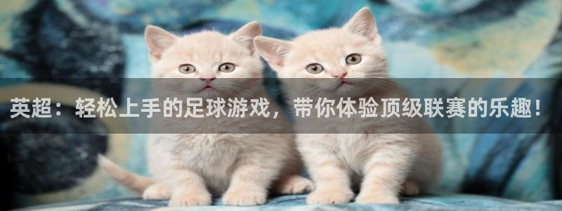 黑白体育ufc直播：英超：轻松上手的足球游戏，带你体验顶级联赛的乐趣！
