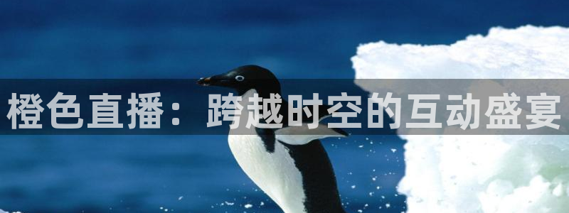 黑白直播nba免费观看篮球：橙色直播：跨越时空的互动盛宴