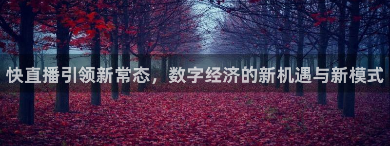 黑白直播体育app官方下载：快直播引领新常态，数字经济的新机遇与新模式